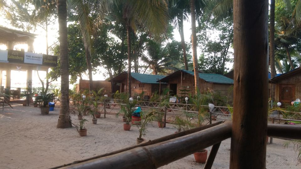 Photo of Mandrem Beach, Mandrem, Goa, India by Devraj Jee