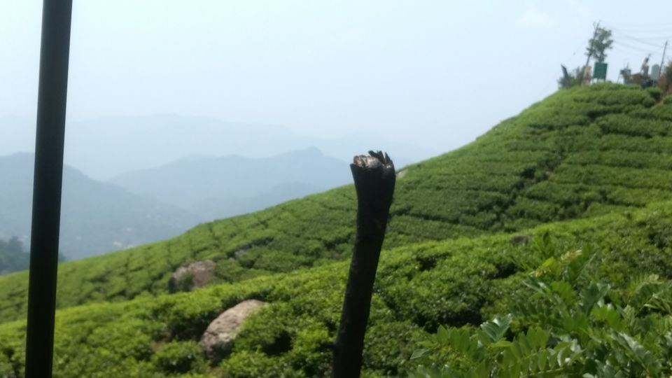 Photo of Munnar, Kerala, India by Devraj Jee