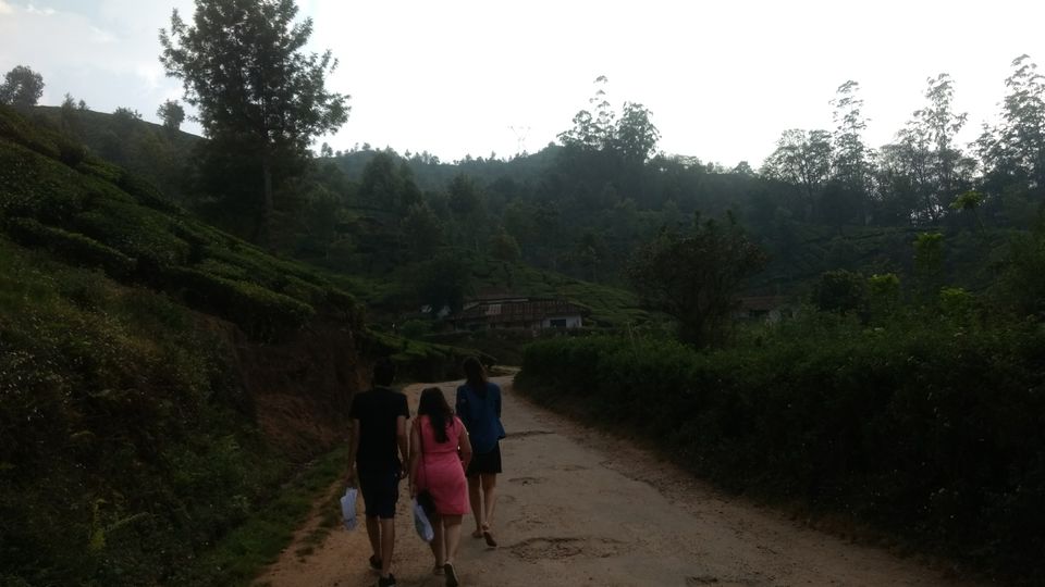Photo of Munnar, Kerala, India by Devraj Jee