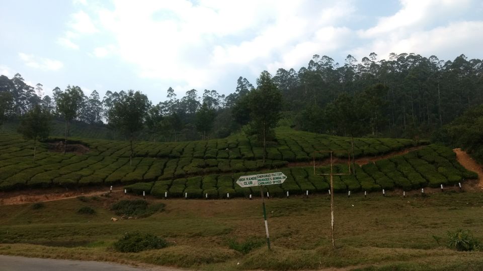 Photo of Munnar, Kerala, India by Devraj Jee