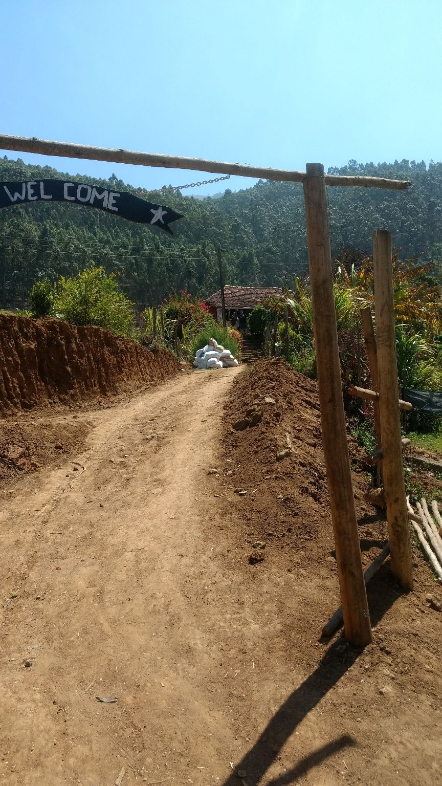 Photo of Munnar, Kerala, India by Devraj Jee