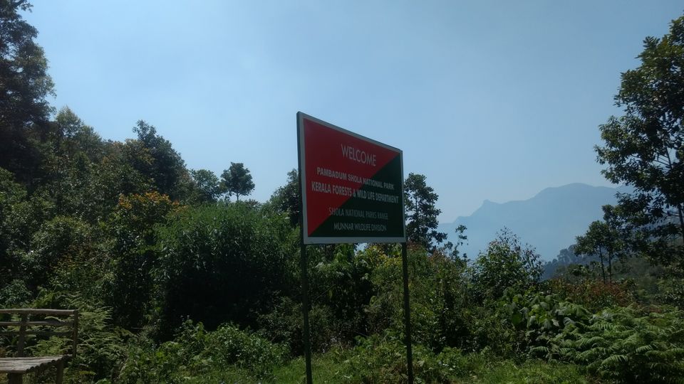 Photo of Munnar, Kerala, India by Devraj Jee