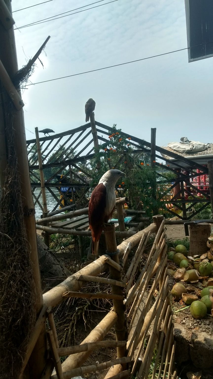 Photo of Alappuzha, Kerala, India by Devraj Jee