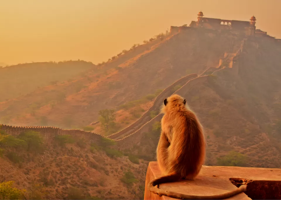 Photo of Sagar, Sagar Road, Amer, Jaipur, Rajasthan, India by Yatin Godara
