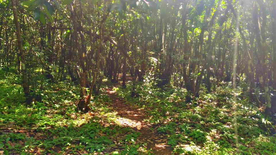 Photo of An excursion to the village of temples – Barkur by Supriya Shah
