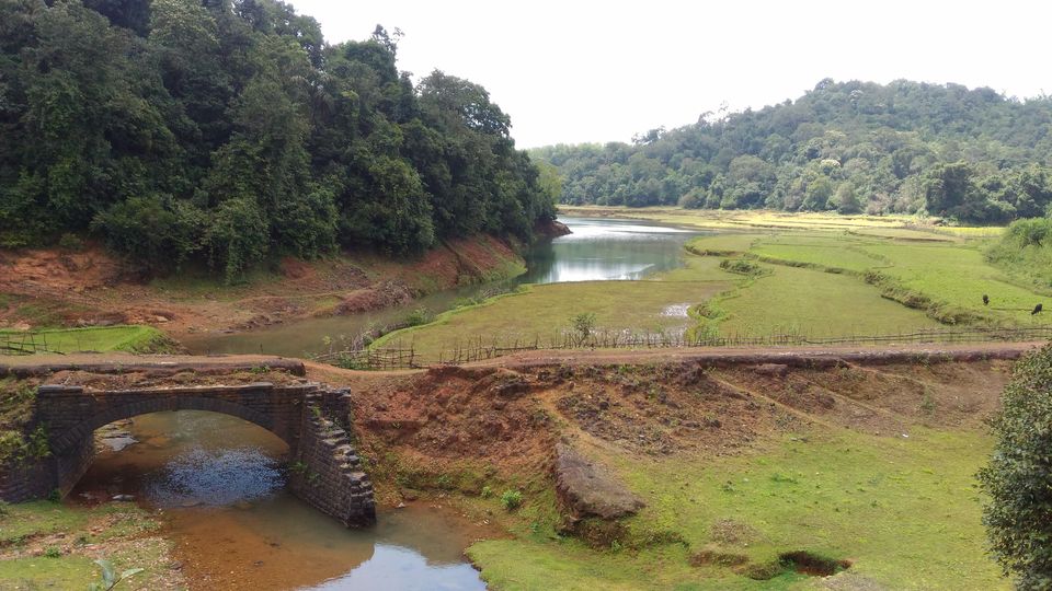 Photo of The Almighty - Jog falls by Supriya Shah