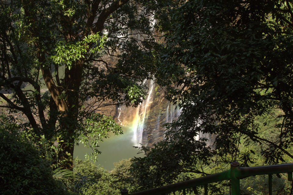 Photo of The Almighty - Jog falls by Supriya Shah