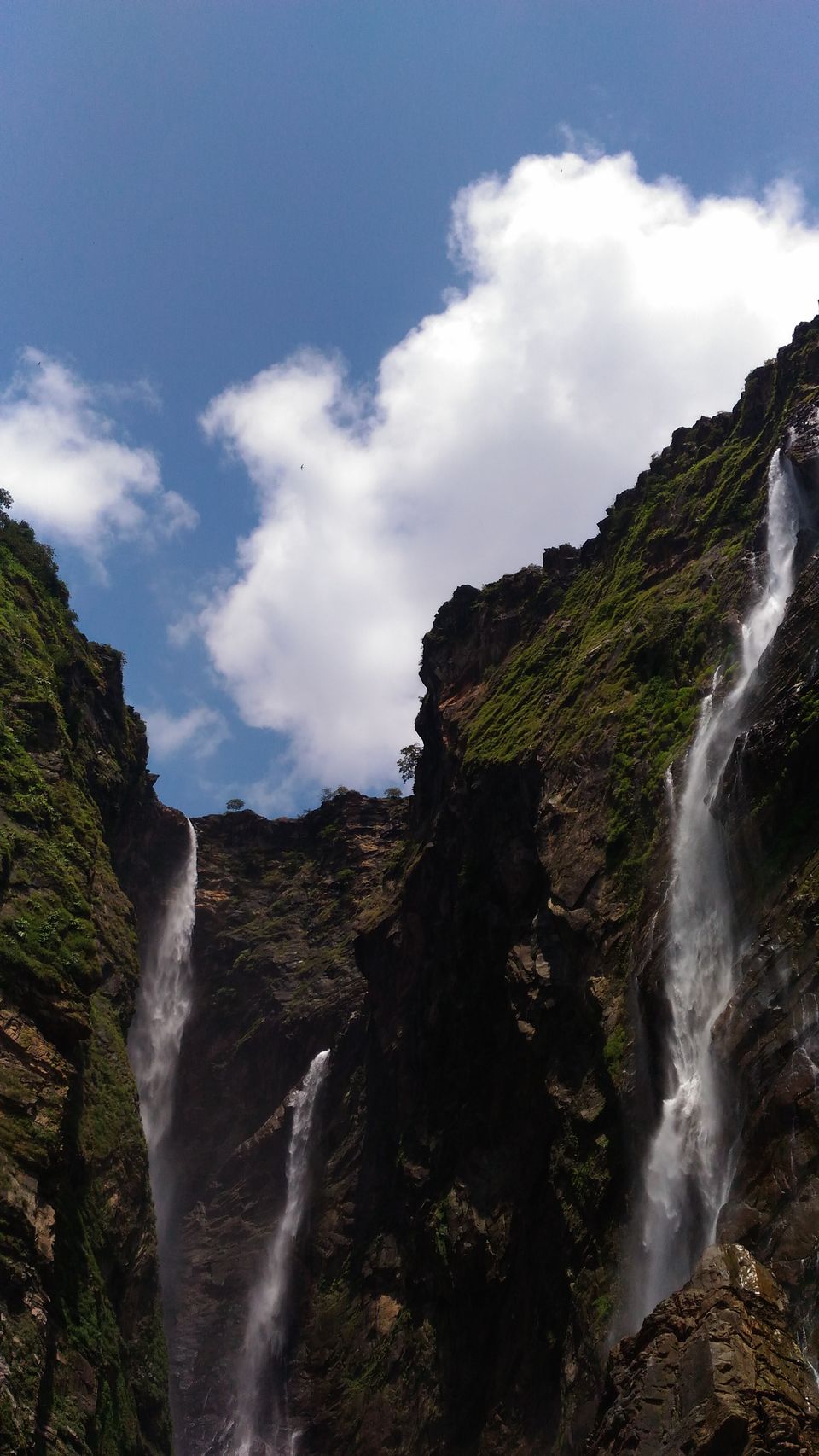 Photo of The Almighty - Jog falls by Supriya Shah