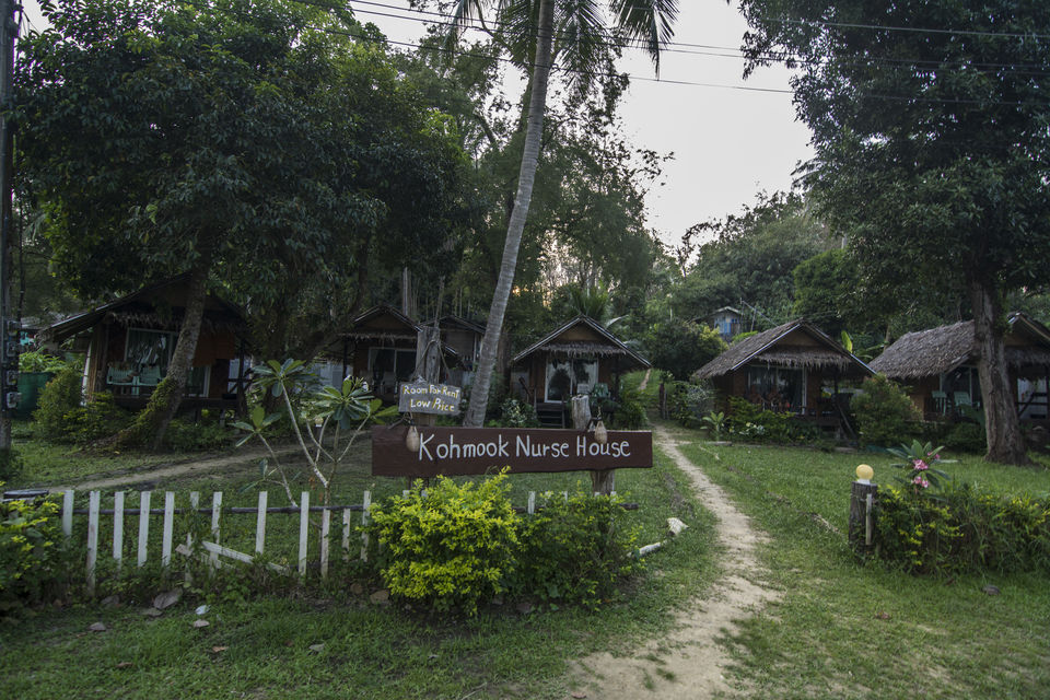 Photo of A taste of real Thailand by Anoop Pillai