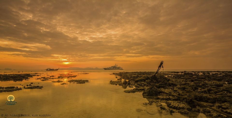 Photo of A taste of real Thailand by Anoop Pillai