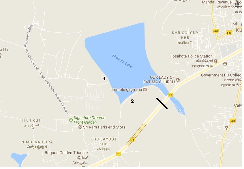 Photo of Hoskote Lake – A paradise for bird lovers! 2/3 by Anoop Pillai
