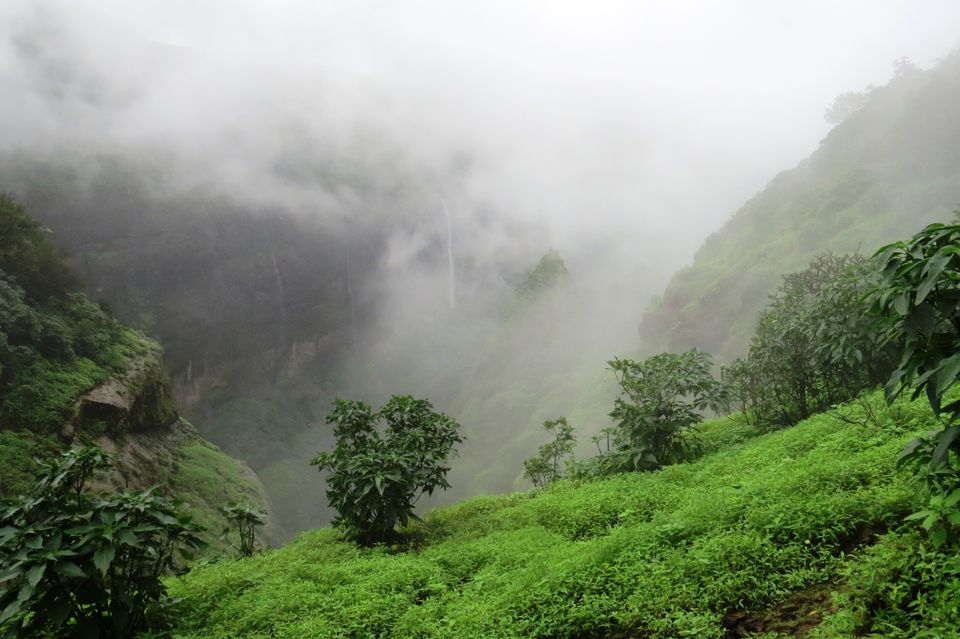 Photo of Andharban Trek - The Western Ghats at its best 11/25 by Devdatta Mulay
