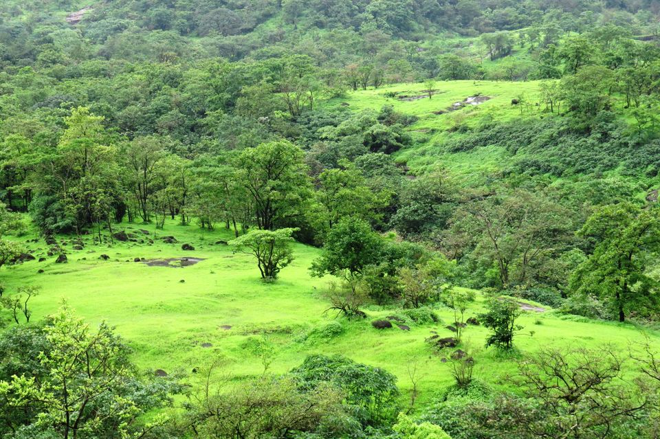 Photo of Andharban Trek - The Western Ghats at its best 13/25 by Devdatta Mulay