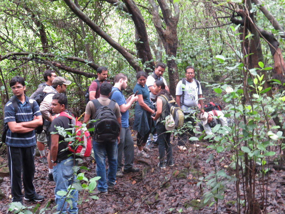 Photo of Andharban Trek - The Western Ghats at its best 17/25 by Devdatta Mulay