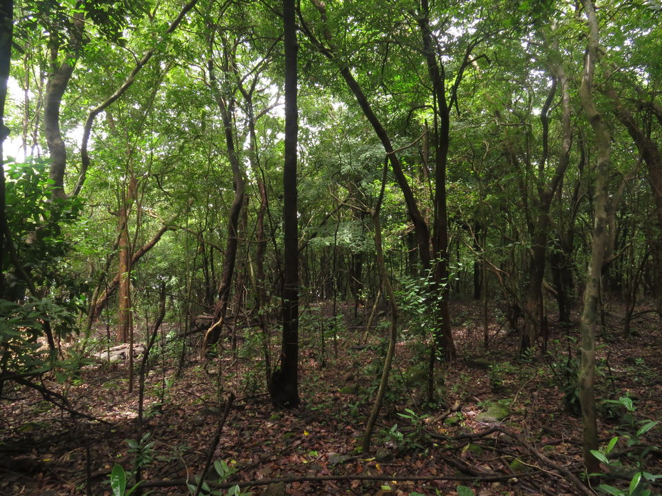 Photo of Andharban Trek - The Western Ghats at its best 25/25 by Devdatta Mulay
