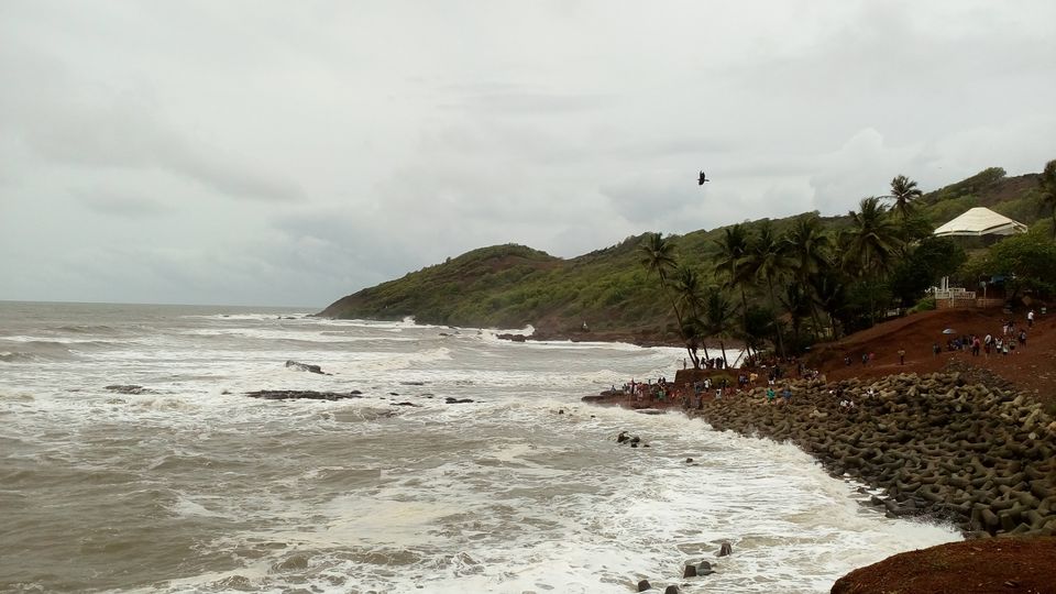 Photo of Go GOA!! 1/1 by keerthi