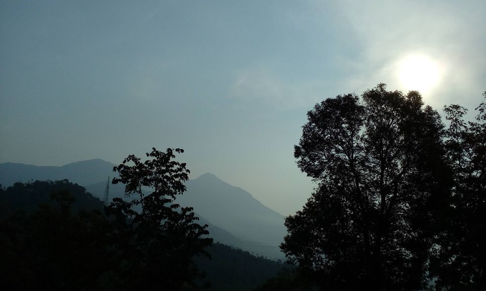 Photo of Adrenaline kick: Kerala (Munnar: Thekkady: Alleppey) 1/1 by keerthi