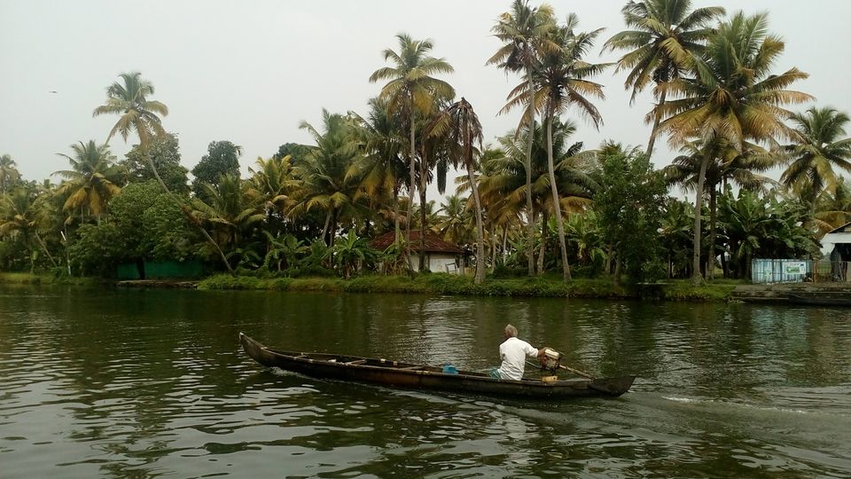 Photo of Adrenaline kick: Kerala (Munnar: Thekkady: Alleppey) by keerthi