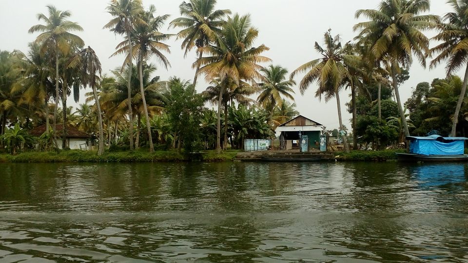 Photo of Adrenaline kick: Kerala (Munnar: Thekkady: Alleppey) by keerthi