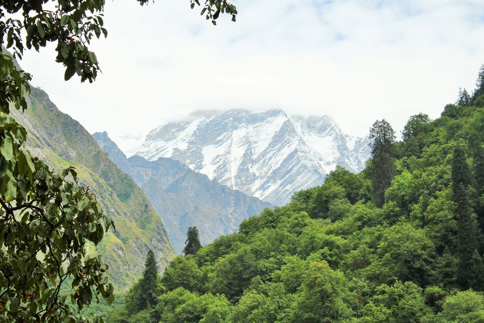 Photo of Ghangaria, Uttarakhand, India by Pooja