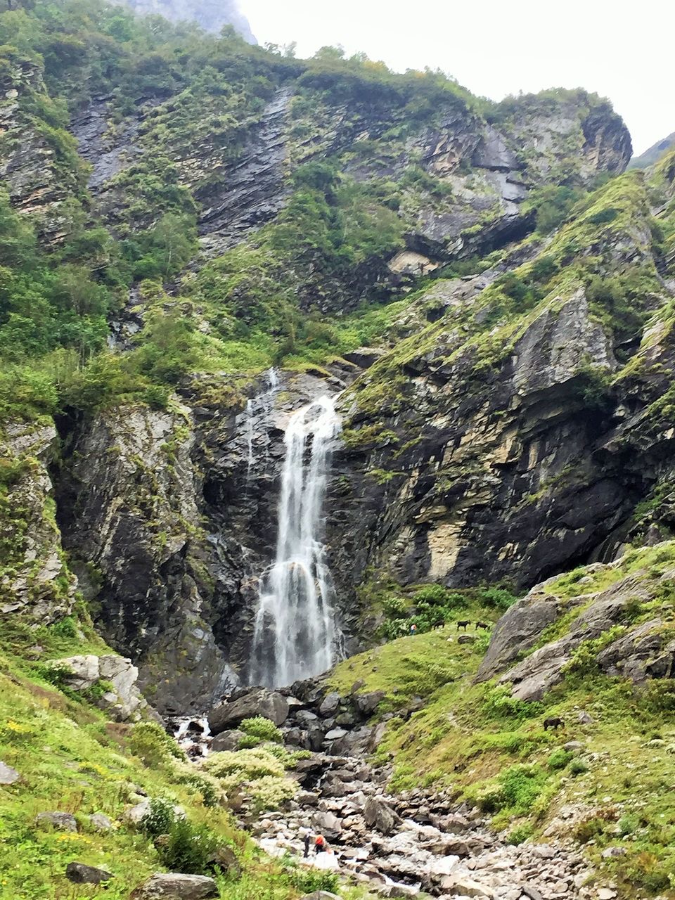 Photo of Hemkund, India by Pooja