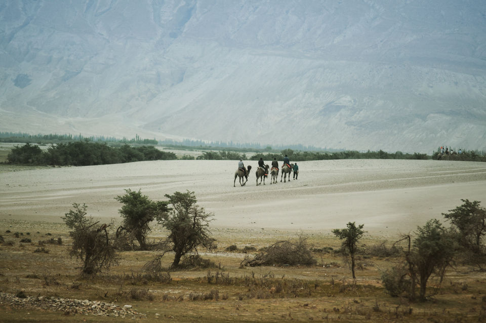 Photo of Desert !! but from my another trip by Rohit Moond