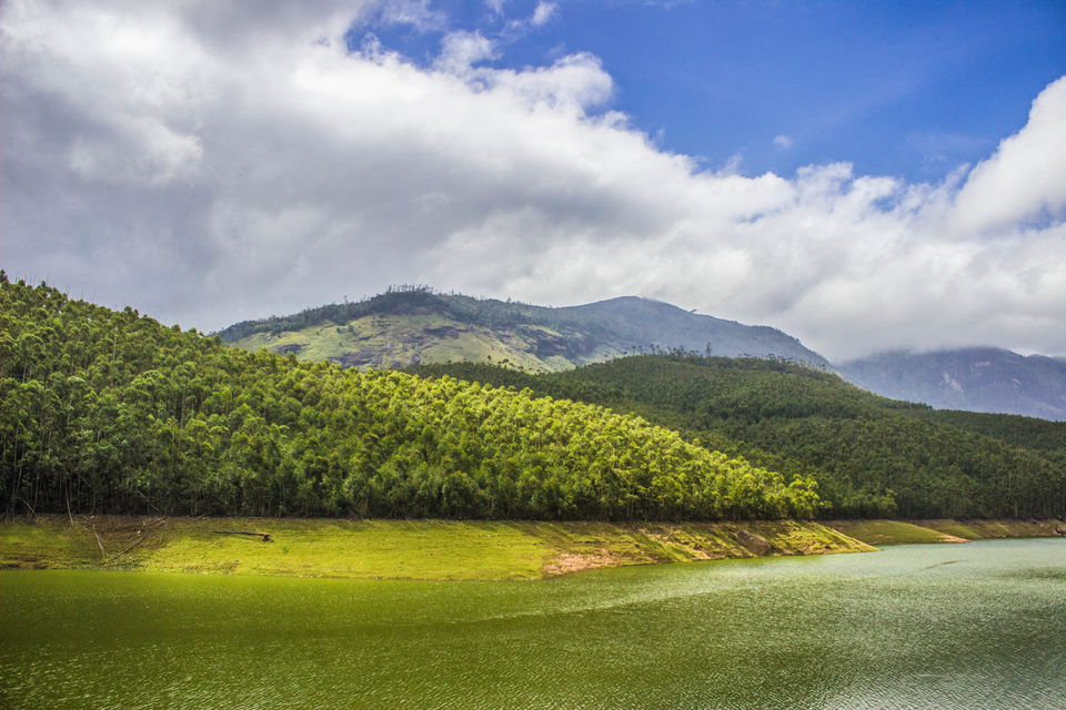 Photo of Munnar: Tea, Mountains and Magic 5/6 by Aishwarya