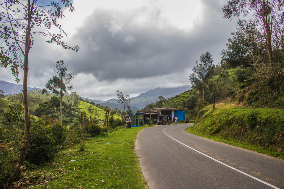 Photo of Munnar: Tea, Mountains and Magic 4/6 by Aishwarya