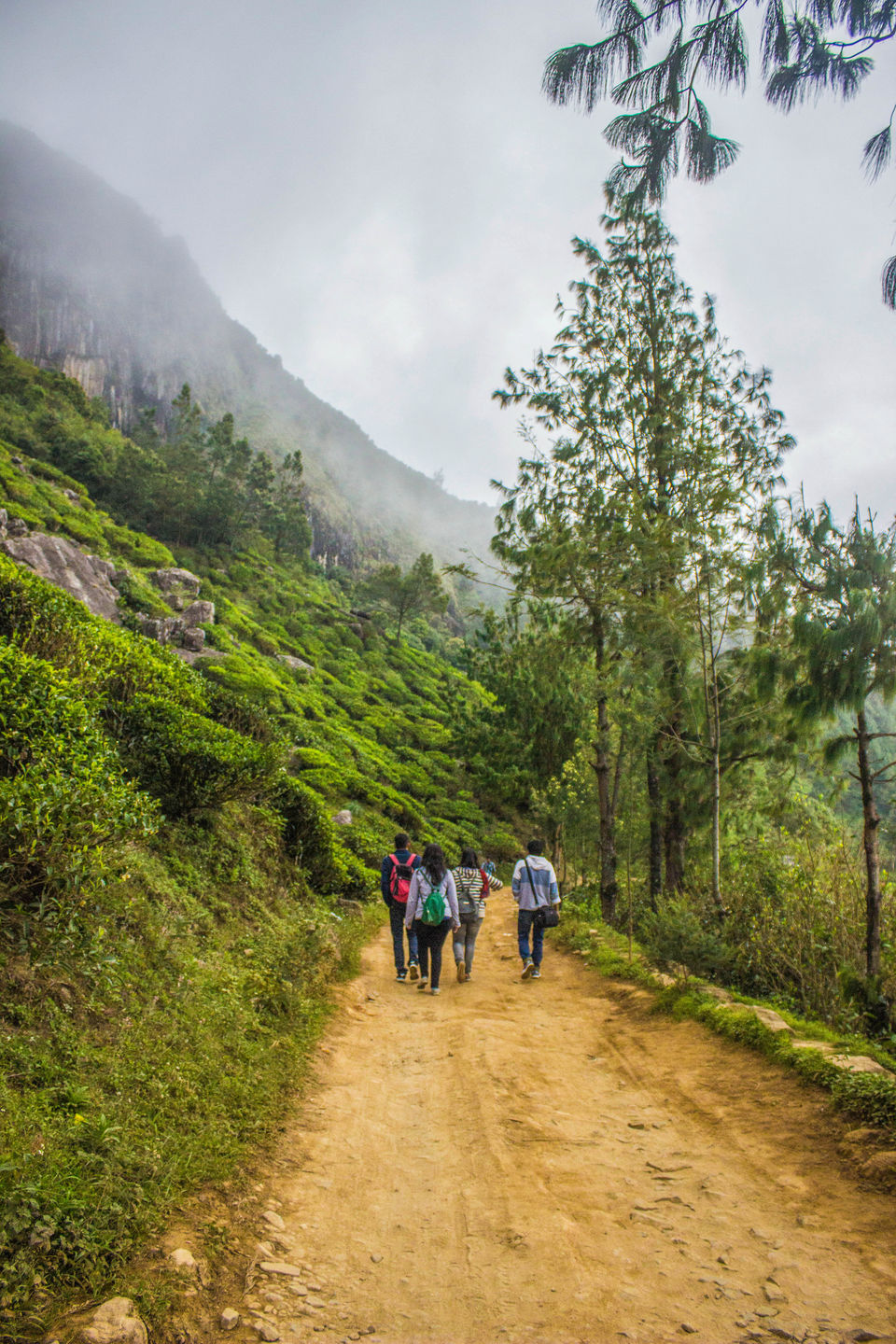 Photo of Munnar: Tea, Mountains and Magic 3/6 by Aishwarya