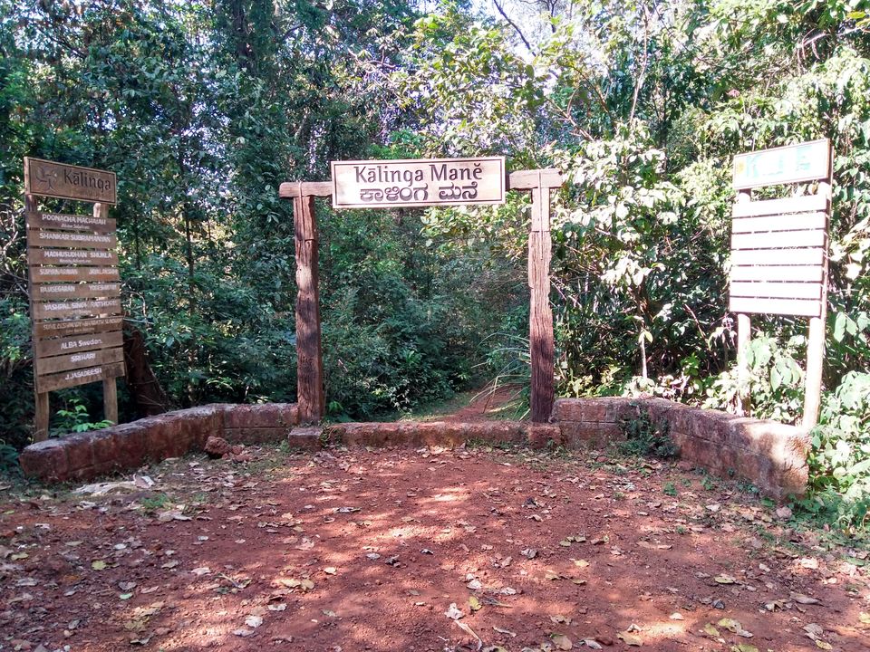 Photo of Agumbe - Beyond Monsoon by Sharon s Kolady