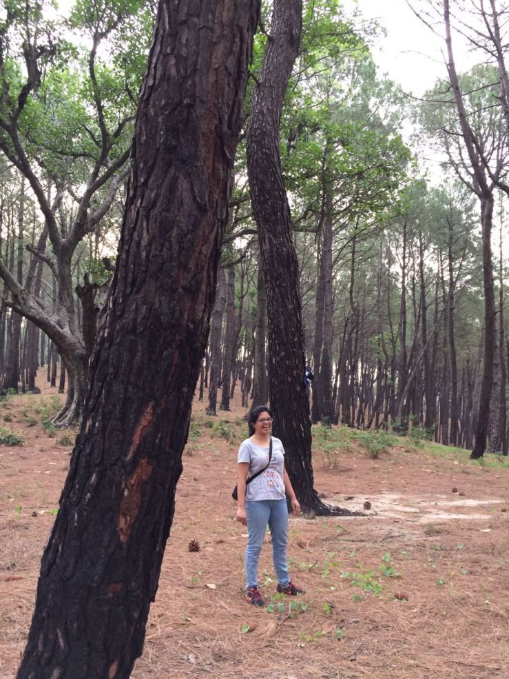 Photo of The Osho Experience: In the Foothills of The Himalayas 1/2 by Meru