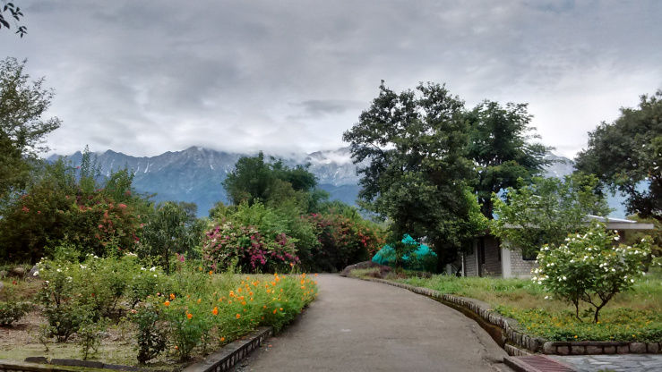 Photo of The Osho Experience: In the Foothills of The Himalayas 2/2 by Meru