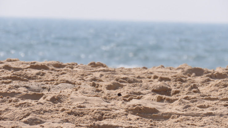 Photo of Goa 2: The Untameable Mobor beach 4/6 by Meru