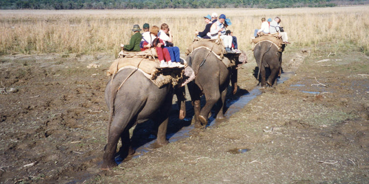 Photo of Visit Corbett for that much-needed Adventure Trip 3/3 by Sheyli Nnayaar