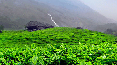 Photo of Overrated Destinations In India and Underrated Places To Go Instead 9/20 by Rutuja kulkarni