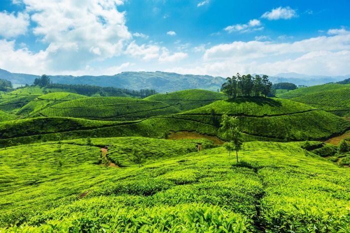 Photo of Overrated Destinations In India and Underrated Places To Go Instead 10/20 by Rutuja kulkarni