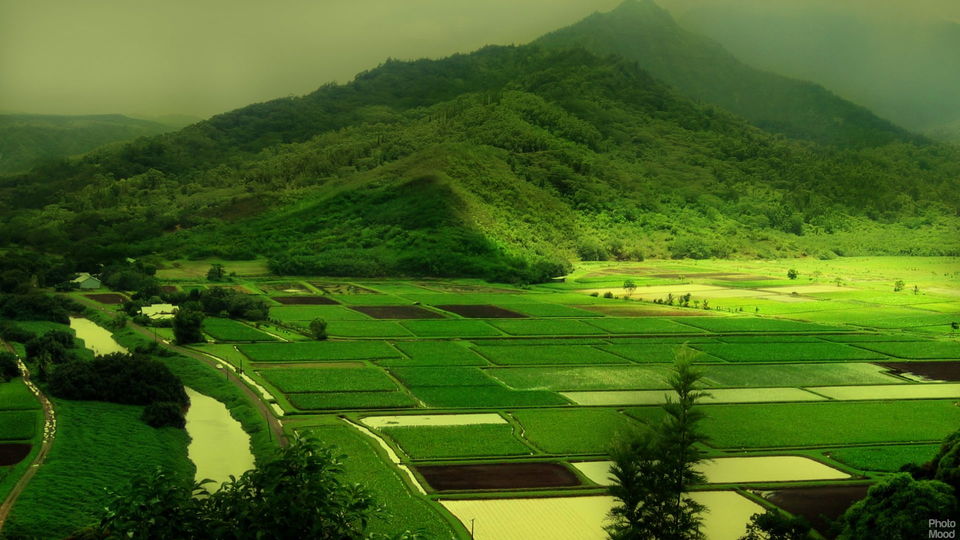 Photo of Overrated Destinations In India and Underrated Places To Go Instead 12/20 by Rutuja kulkarni