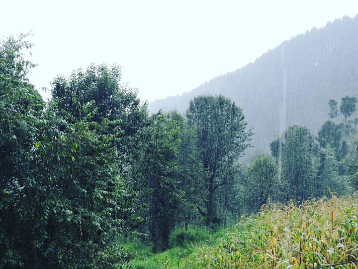 Photo of Dharamkot, Dharamshala, Himachal Pradesh, India by Roopi Gupta