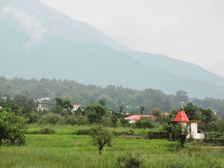 Photo of "Once a Year, Go Someplace You’ve never been Before".. by Roopi Gupta