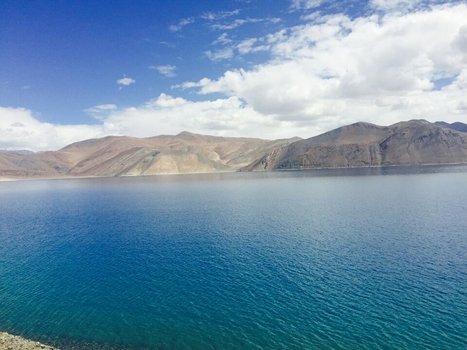 Photo of Leh, Jammu and Kashmir 194201 by vids