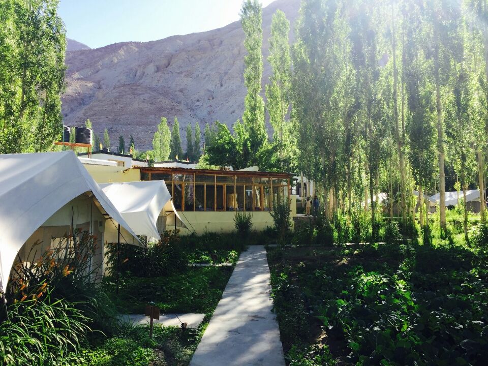 Photo of Leh, Jammu and Kashmir 194201 by vids