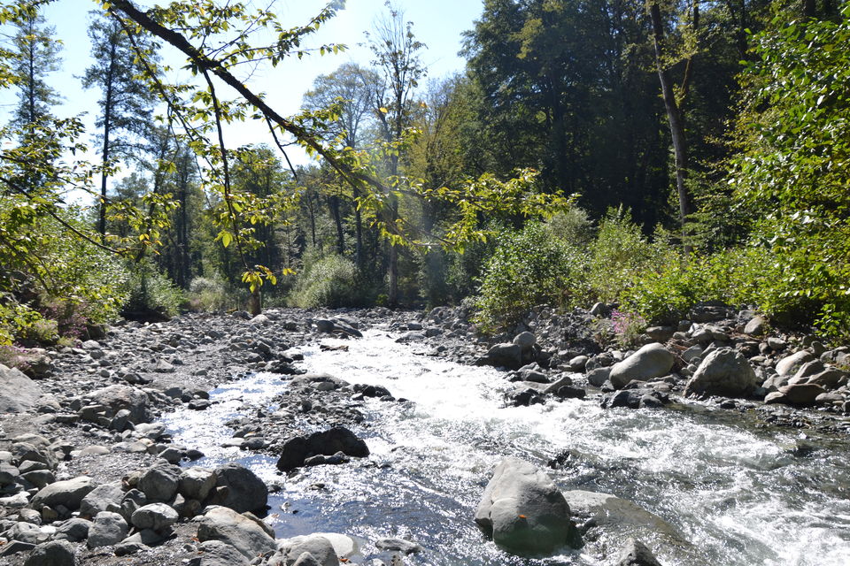 Photo of Lagodekhi Nature Reserve, Kakheti, Georgia by Daria Kholodilina