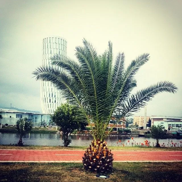 Photo of Old Batumi, Batumi, Georgia by Daria Kholodilina