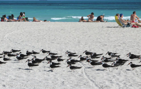Photo of Welcome to Miami.. 8/13 by Candida Fernandes Dias