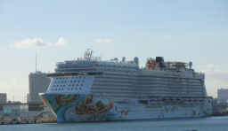 Photo of Welcome to Miami.. 13/13 by Candida Fernandes Dias