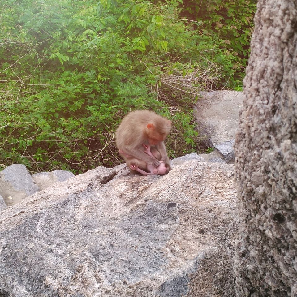 Photo of Bike Ride to Gingee Fort (Trekking) 1/11 by Prithvi Tharun