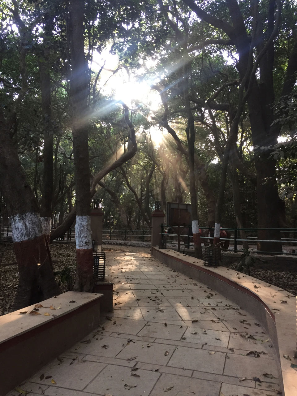 Photo of Unpollute Yourself - Matheran by #NanhaYatri