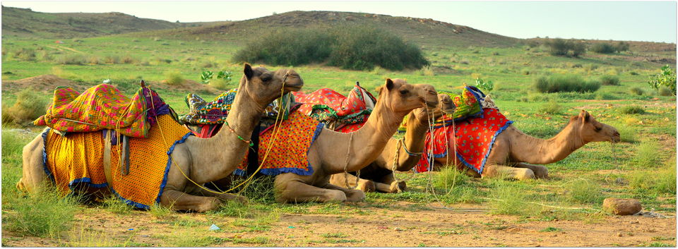 Photo of Adventure of Two Elderly Souls @ Jaisalmer by Debasmita Das