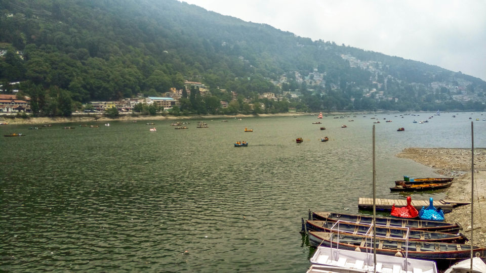 Photo of Wild & Mild - Jim Corbett National Park & Nainital, Uttarakhand 2/3 by Tanmay Mittal