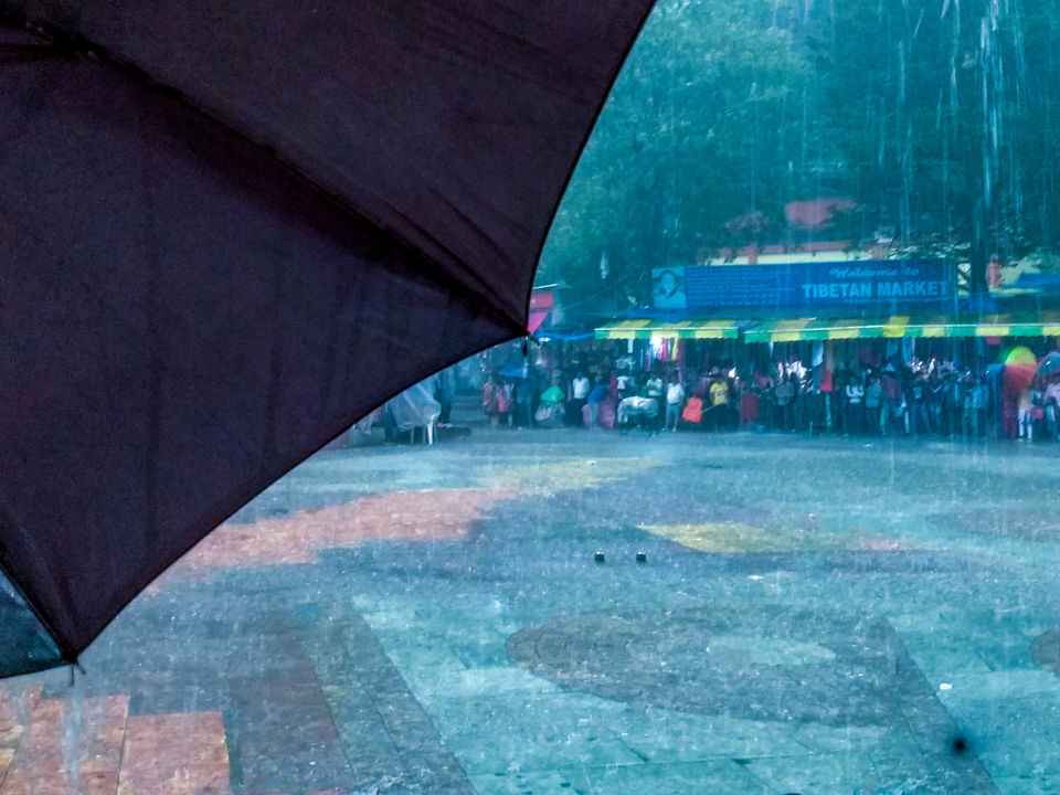 Photo of Wild & Mild - Jim Corbett National Park & Nainital, Uttarakhand 1/3 by Tanmay Mittal